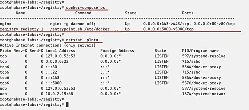 Check Nginx service