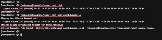 Configure puppet agent