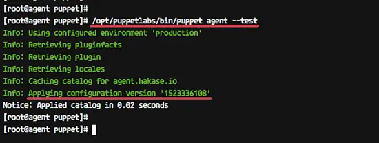 Verify puppet agent configuration