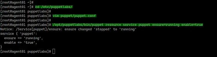 Start puppet service