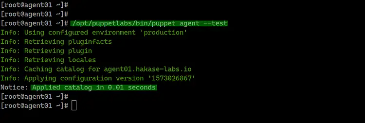 Test puppet agent