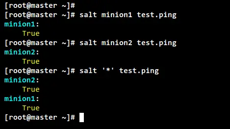 SaltStack test ping