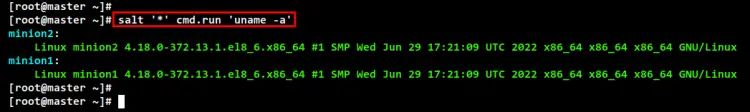 run artbitrary command saltstack
