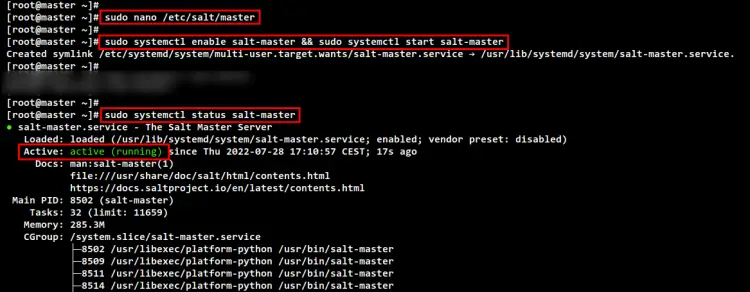 check and verify salt-master