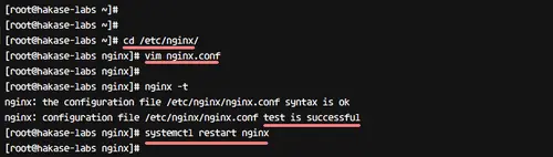 Configure Nginx