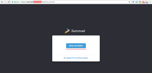 Start zammad setup