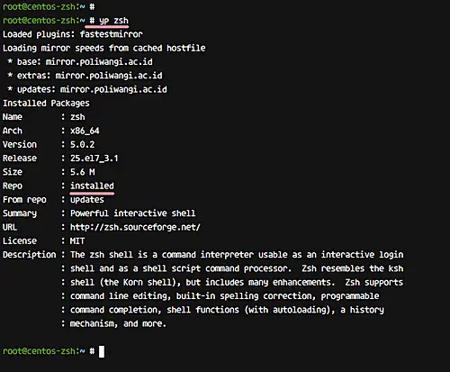 yum command info
