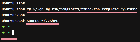 The Oh-my-zsh installation on Ubuntu