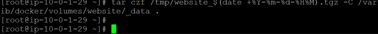 back up the contents of your website volume