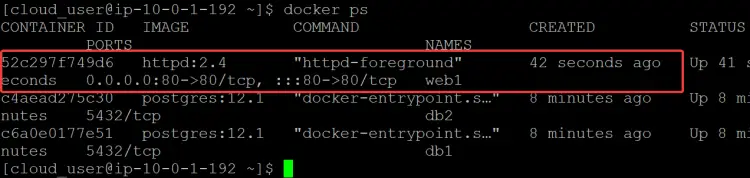 check the status of the web1 container