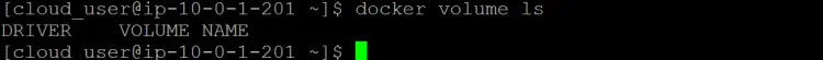 docker volume list