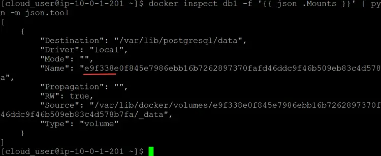 get more information about the db1 container 