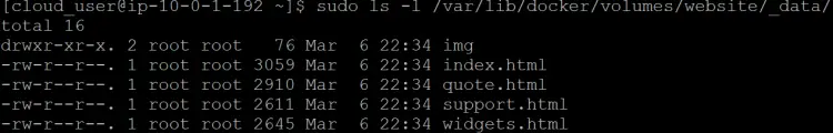  list the files in the website volume.