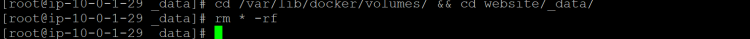 Move in to the volume directory and remove all the website data.