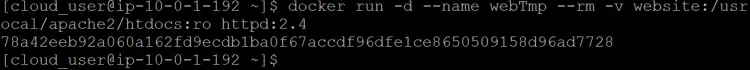 run one more container named webTmp