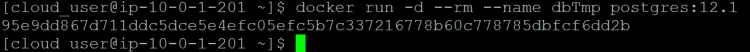 run one more temporarily container