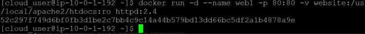 start a new container and attach the website volume to it