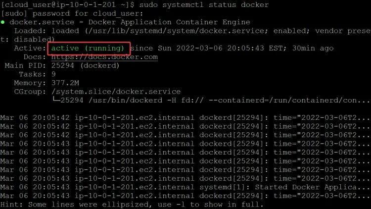 status docker