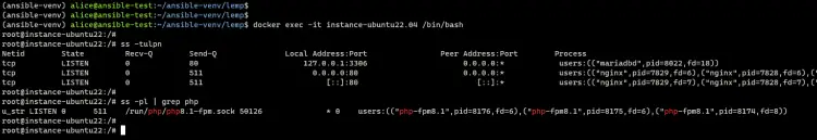 verify process on container