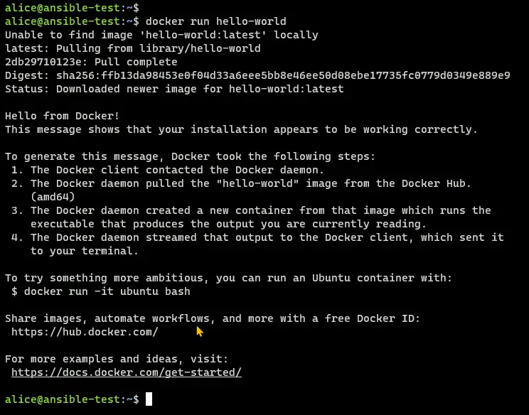 docker run hello world