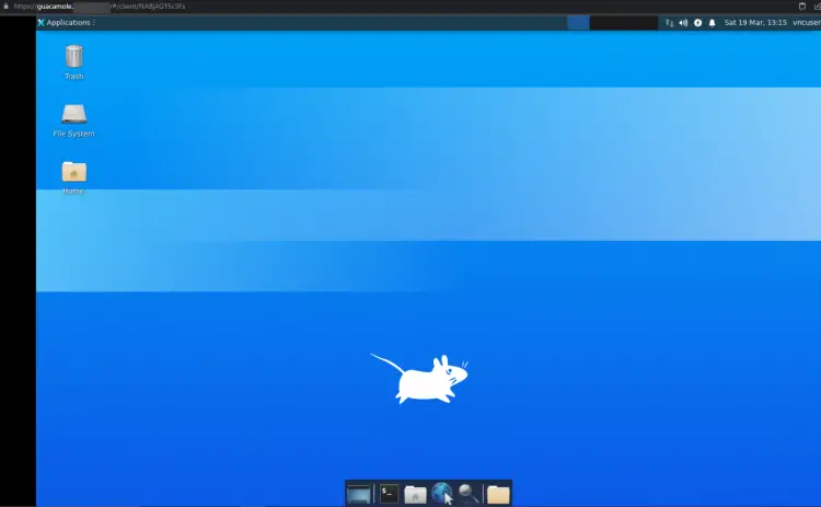 Guacamole VNC Ubuntu Desktop Screen