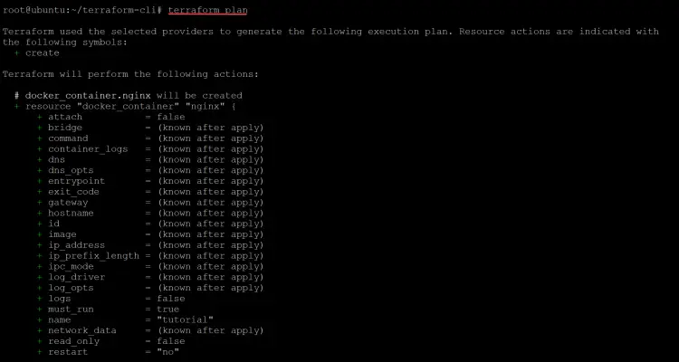 Viewing the terraform plan