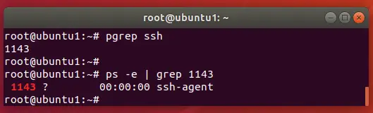 Find ssh process with pgrep