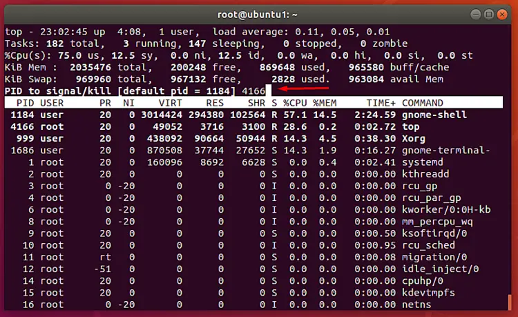 Kill processes using top command