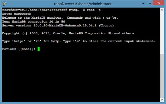 Test the MariaDB login on the shell.