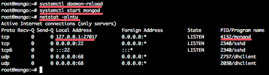 Check if MongoDB is running.