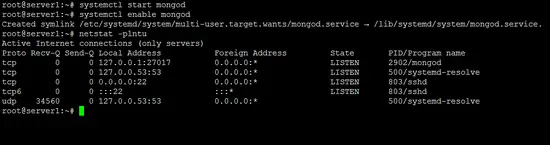 Check if MongoDB is running.