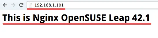 Nginx is working in the Browser.