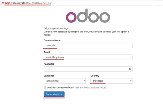 Enter database details in Odoo.