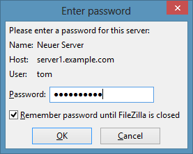 Enter the password.