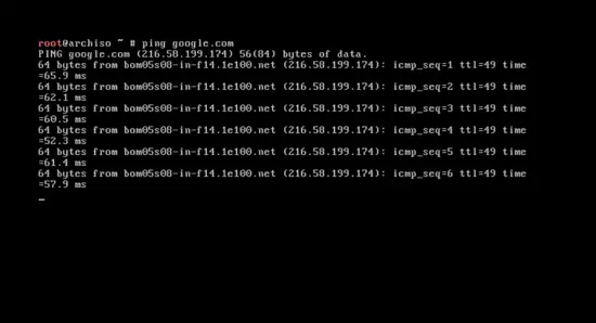 Test internet connectivity with ping 