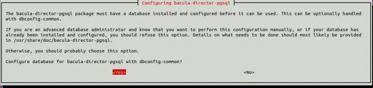 Bacula directore Postgres