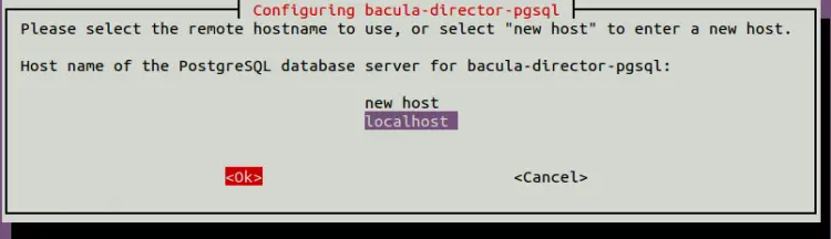 PostgreSQL database host