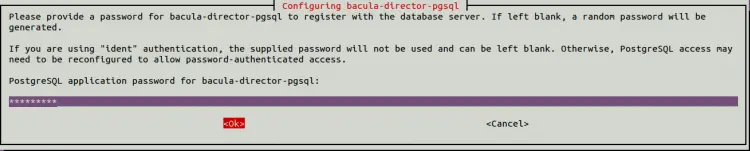 PostgreSQL password