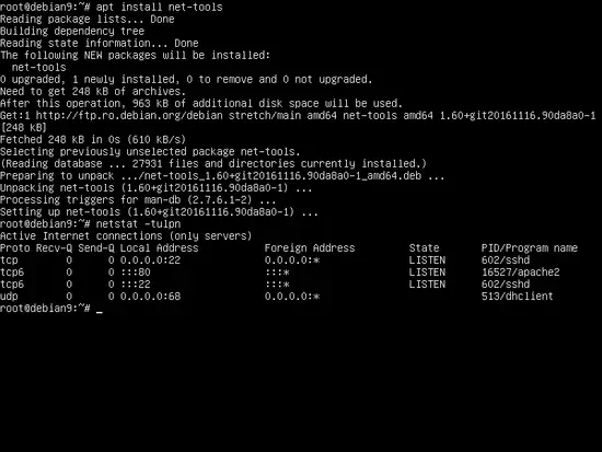 Netstat command output