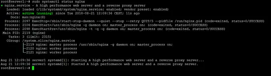 Nginx status success