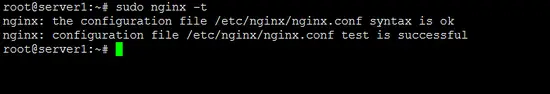 Nginx syntax check