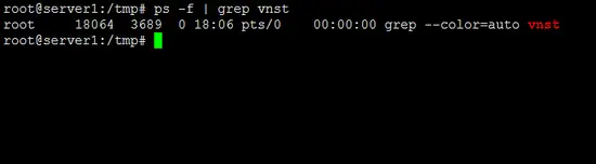 PS grep on vnstat