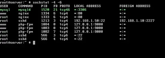 Check MariaDB socket and port