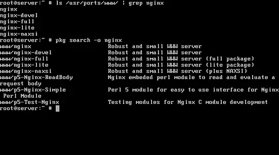 List Nginx versions on FreeBSD