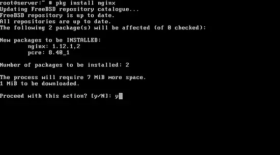 Install Nginx on FreeBSD