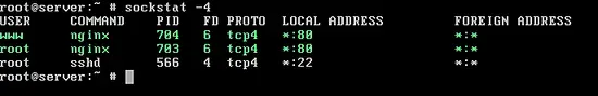 Check if Nginx is started with sockstat command