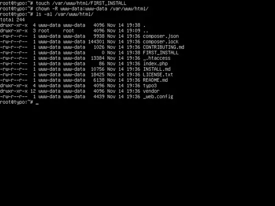 Typo3 downloaded