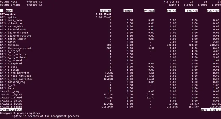 Varnish stats