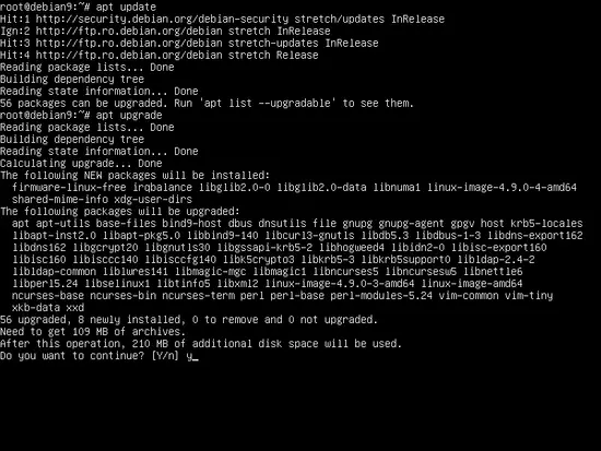 Install Debian Updates