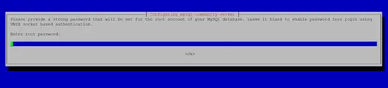 Set the MySQL root password